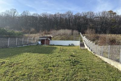 Spațiu comercial, în Chinteni - 2