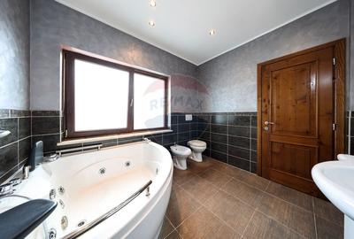 Conac, proprietate unica, in mijlocul naturii, Sacele! - 42