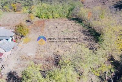 Teren de vanzare 11.766 mp – Costisa, judetul Neamt - 8