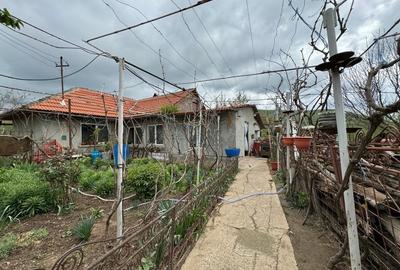 Casă cu 3 camere în Babadag - 9