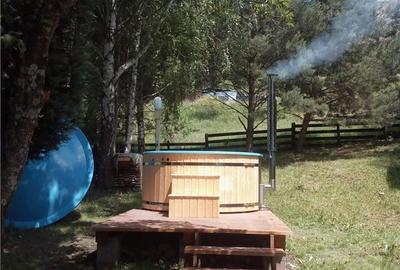 Cabana la munte, Colibita, jacuzzi, foisor - 18