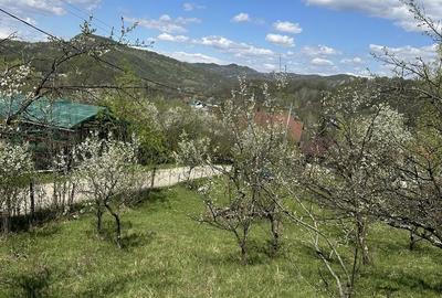 Spațiu comercial, de 2,035 mp, în Provița de Jos - 10