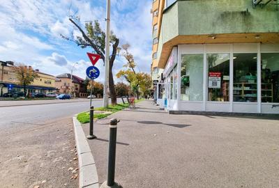 Inchiriere spatiu stradal Sos. Iancului | Parter 51 mp | Vad pietonal & Vitrina Inchiriere spatiu stradal Sos. Iancului | Parter 51 mp | Vad pietonal & Vitrina - 12