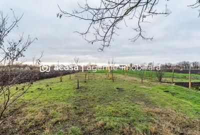 Casă individuală cu 3 camere cu Canalizare în Dorobanți - 2