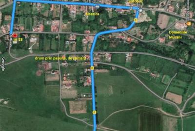 Teren de 1584 mp, în Pișchia - 9