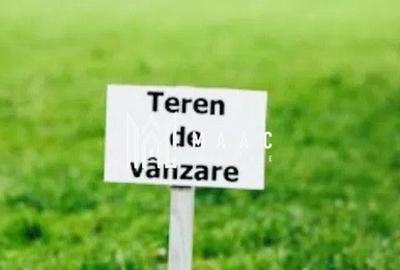 Teren 7000 mp I Intravilan I Cristian - 3