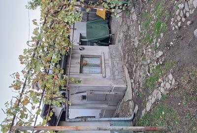 Vand 2 corpuri de casa - 6