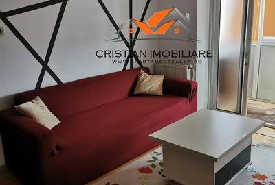 Apartament cu 2 camere semidecomandat în Cetate - 2