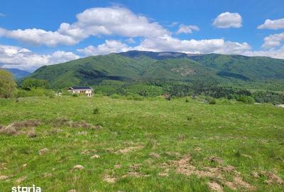 Teren de 2500 mp, în Nucșoara - 3