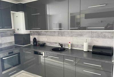 Apartament cu 2 camere în Buziașului