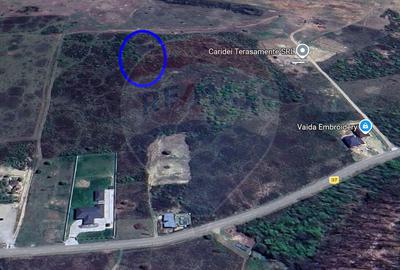Teren agricol extravilan de 974 mp, în Paleu - 1