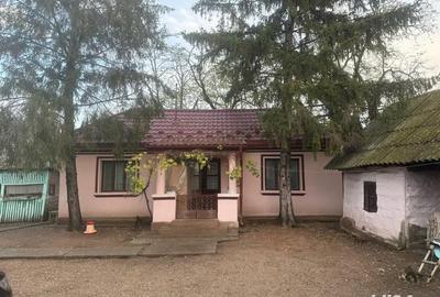 Casă cu Teren 1500 Mp în Stolnici - 1