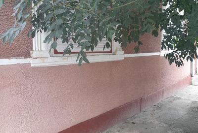 Casă cu 5 camere în Ineu - 2