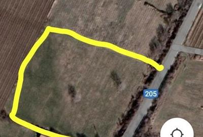 Teren de 11780 mp, în Merei - 1