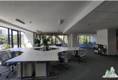 Spatiu de Birouri de 696 mp in Zona Pipera - 6