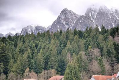 Apartament cu 2 camere decomandat în Valea Alba - 2