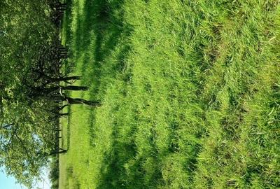 REDUCERE DE PRET! Teren in zona Sub Dura ,40 ari pentru constructii industriale REDUCERE DE PRET! Teren in zona Sub Dura ,40 ari pentru constructii industriale - 1