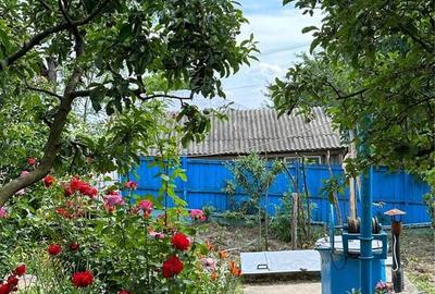 Casă cu 4 camere în Bichești - 2