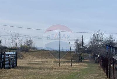 Teren 7,200mp Bodestii de Jos / Strada Bodesti - 4