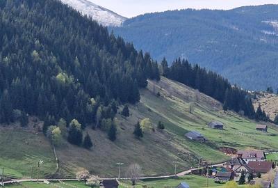 Teren Construcții intravilan de 6966 mp, în Bran - 10