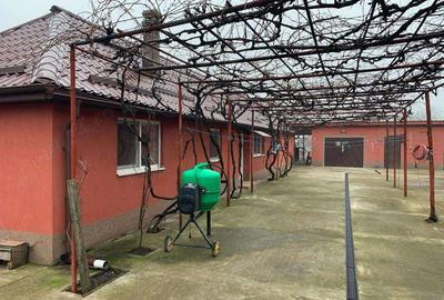 Casa de vanzare in Hodoni jud Timis Casa de vanzare in Hodoni jud Timis - 9