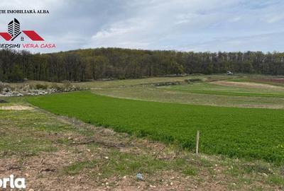 Teren de 833 mp, în Meteș - 3