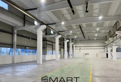 Cladire birouri si hala 8600mp zona industriala est - 3