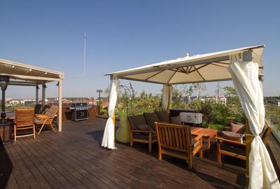 Penthouse cu 4 camere decomandat, mobilat în Herăstrău - 20