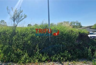 Teren de 1206 mp, în Ciugud - 6