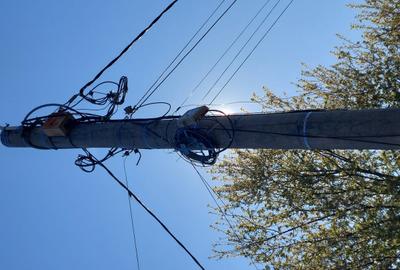 Teren în Cornetu - 11