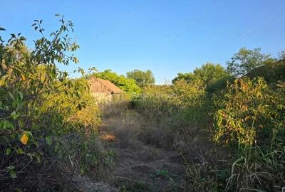 Teren de 3240 mp, în Săpoca