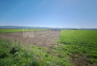 Teren de 8700 mp, în Bod - 3