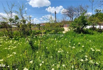 Teren de 509 mp, în Vernești - 5