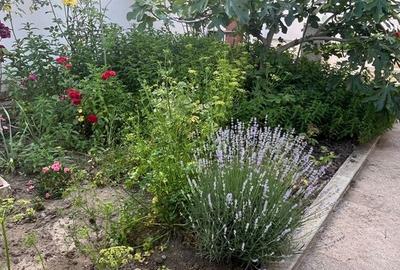 Casă zona ultracentrală - 4