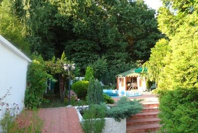 Vila piscina superba gradina matura cu iesire directa la padure - 5