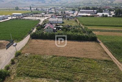 Teren 2000mp INTRAVILAN | Ilisesti | Bucovina - 4