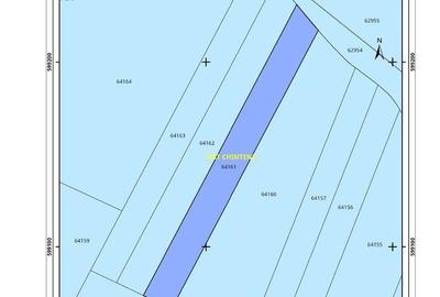 Teren de 8700 mp, în Chinteni - 3