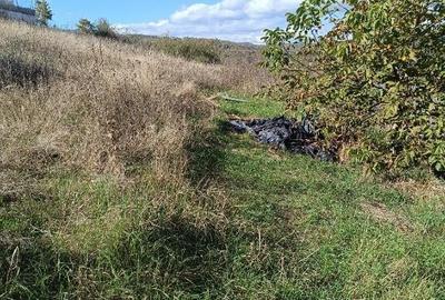 Teren 1000 mp intravilan, Zona Tarpiului - 5