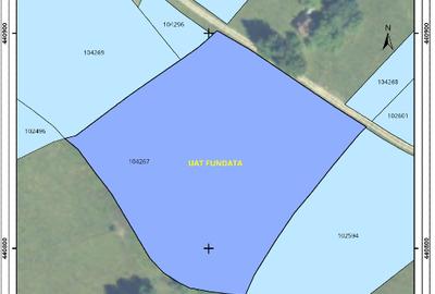 Teren extravilan de vânzare – 9.232 mp – Șirnea, Fundata, Brașov 🏞️ - 3