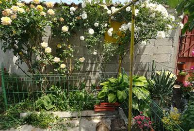 Casă cu 5 camere cu Teren 500 Mp în Central - 2