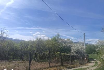 Teren de 554 mp, în Central - 3