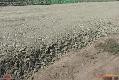 Teren de 542 mp, în Zimandcuz - 12