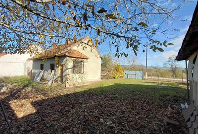 Casa de vanzare + gradina in sat Zagujeni - 10