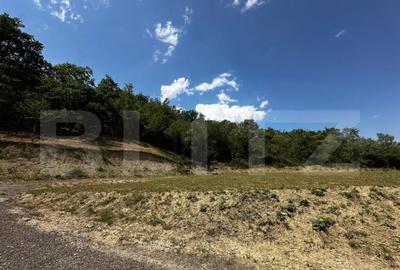 Parcele de 500,700,1000 mp in Aiud , autorizatie de construc - 1