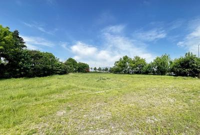 Teren Construcții intravilan de 13566 mp, în Bartolomeu - 10