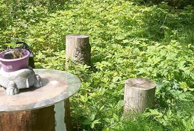 Casă cu 5 camere în Poiana Țapului - 6