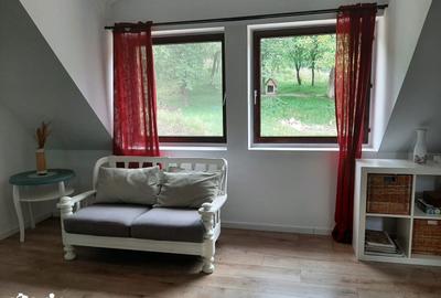 Casă cu 3 camere cu Teren 1500 Mp în Băgaciu - 3