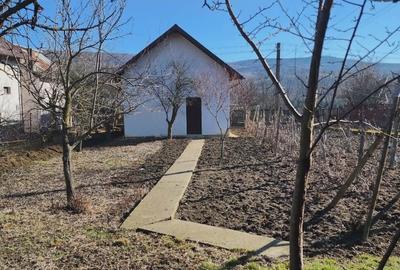 Casă individuală cu 4 camere cu Teren 3000 Mp în Văleni-Podgoria - 12