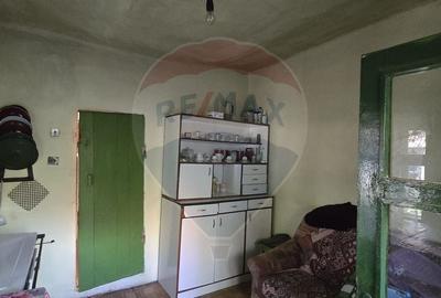 Casa  cu livada 2880 mp in Adea la 4km de Chisineu-Cris - 10