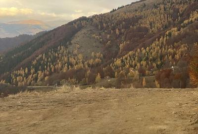 Spațiu comercial, în Petros